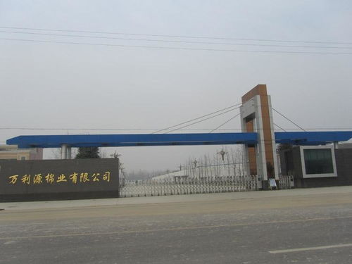 貴州萬利源計算機系統集成 驅動數字化轉型的專業力量